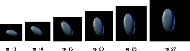 Fig. 16