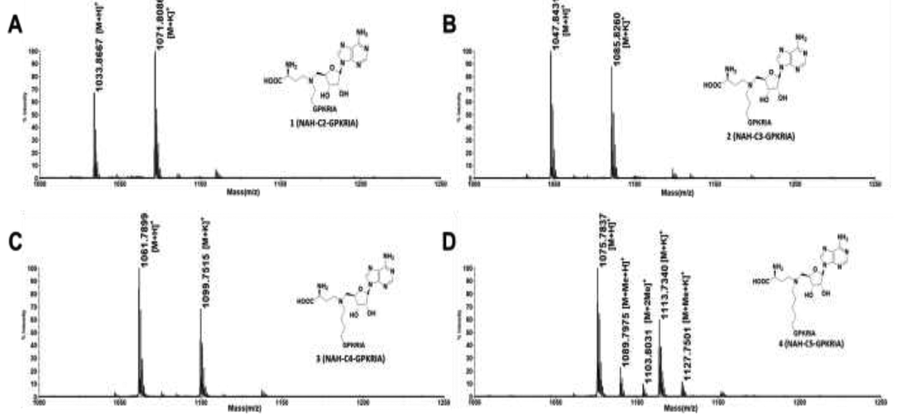 Figure 2.