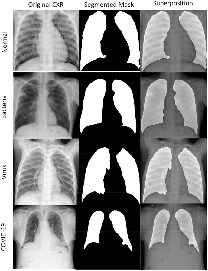 Fig. 8