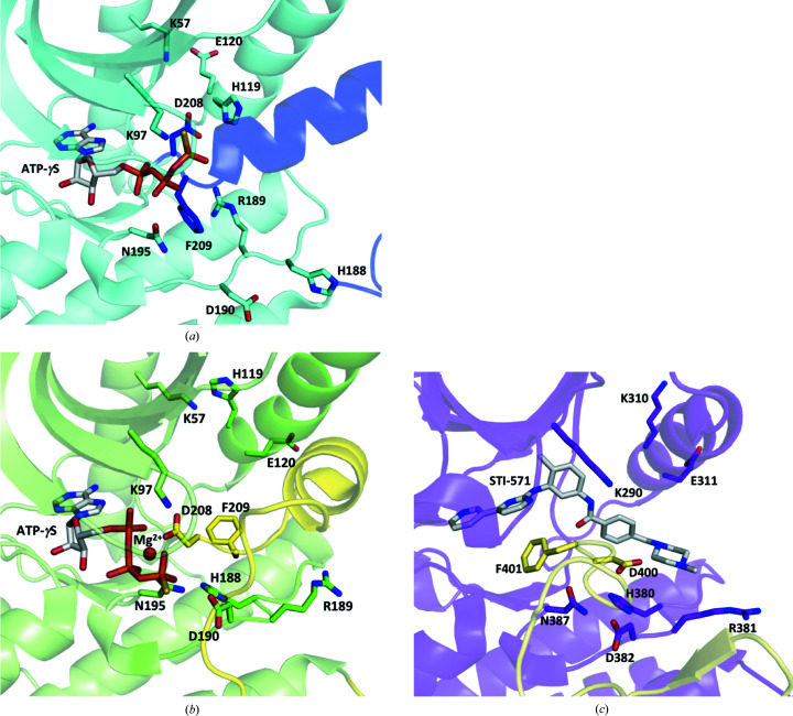 Figure 2