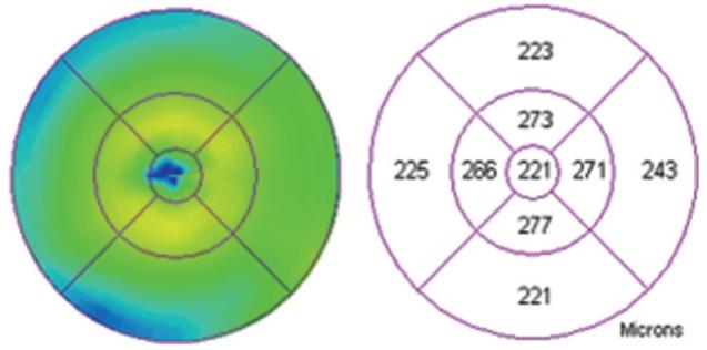 Fig. 7