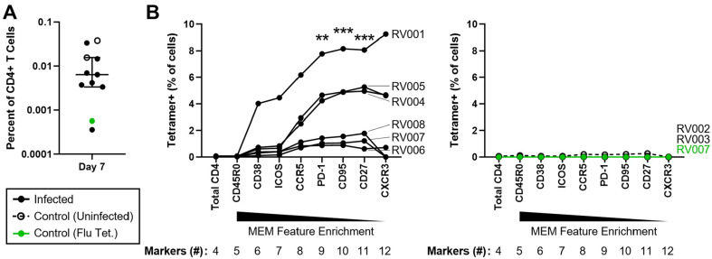 Figure 2—figure supplement 4.