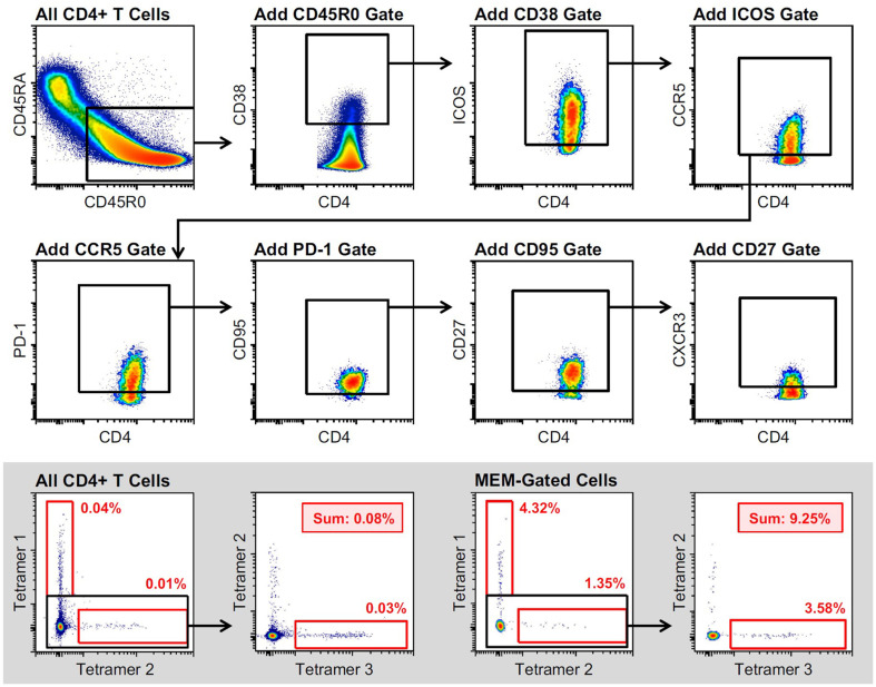 Figure 2—figure supplement 3.