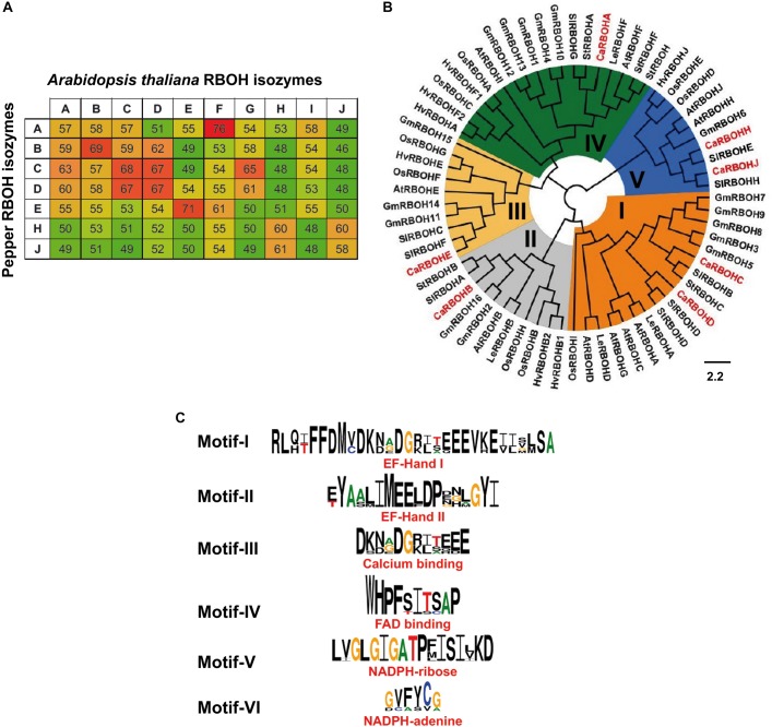 FIGURE 3