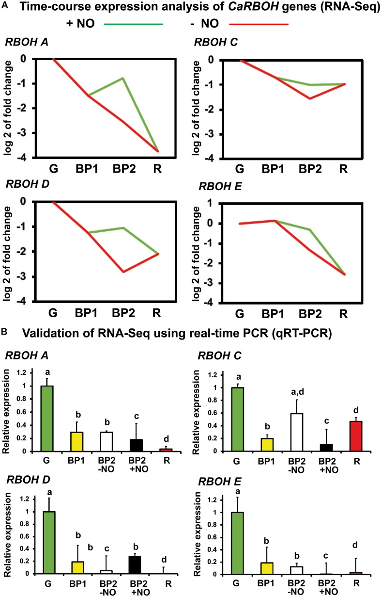 FIGURE 4