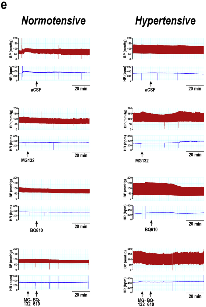 Figure 5: