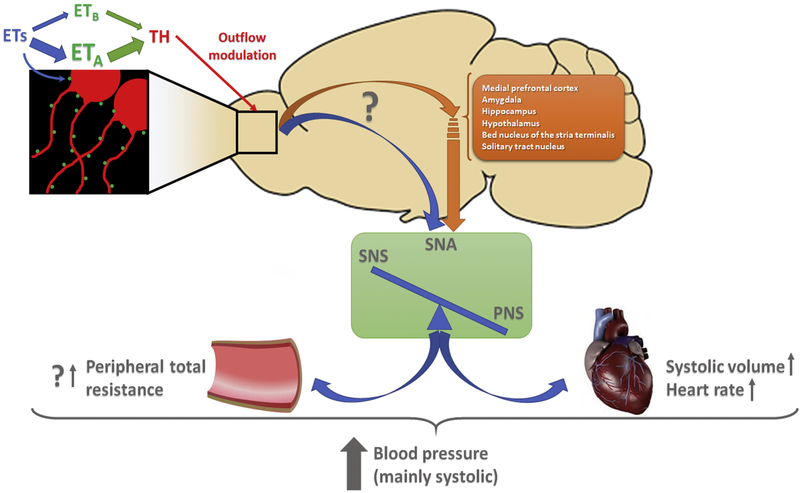 Figure 9: