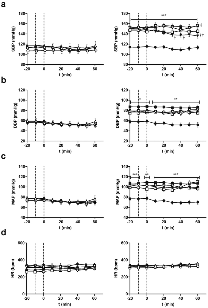 Figure 5: