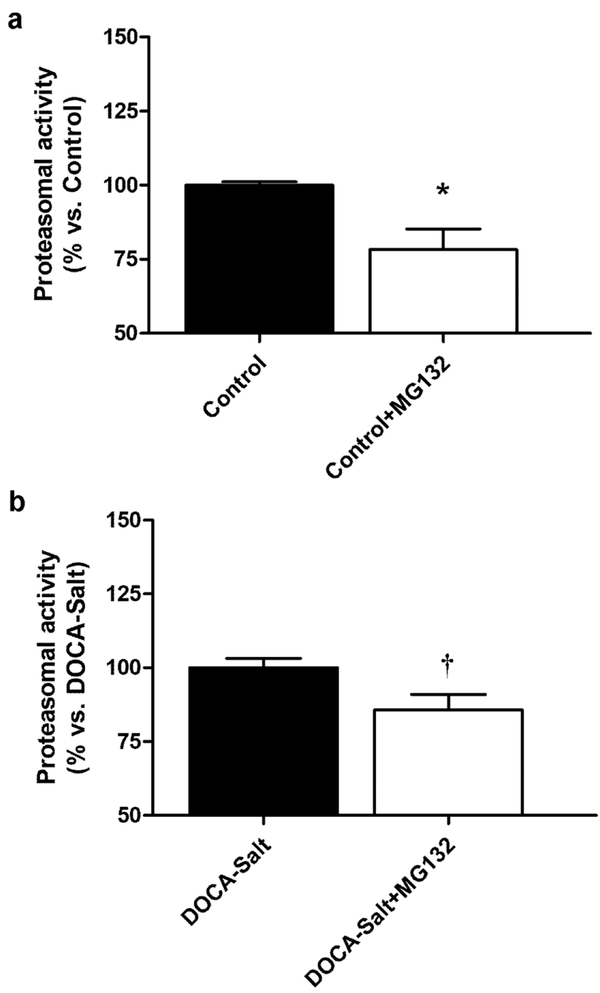 Figure 7: