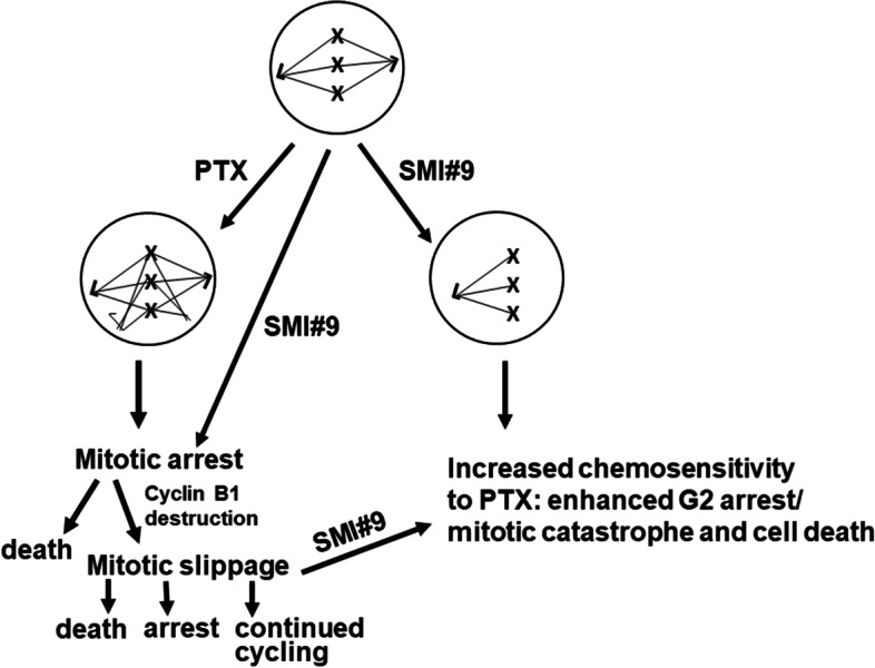 Fig. 8