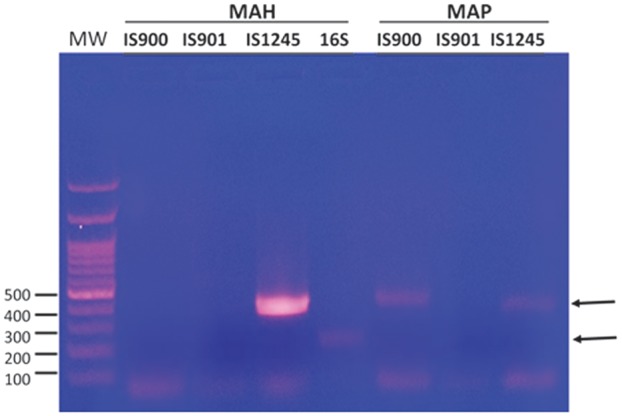 Figure 3.