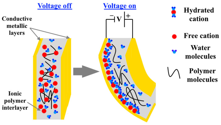 Figure 13