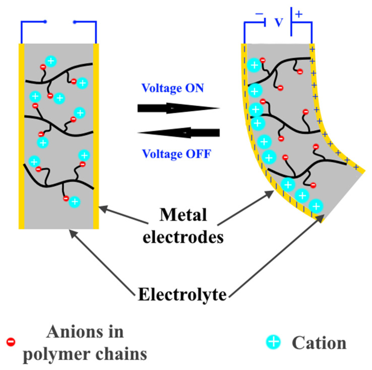 Figure 21