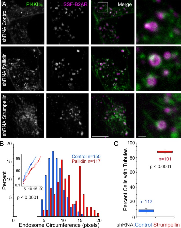 FIGURE 6: