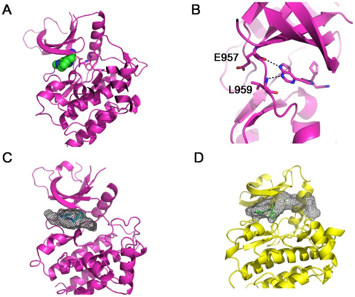 Figure 6