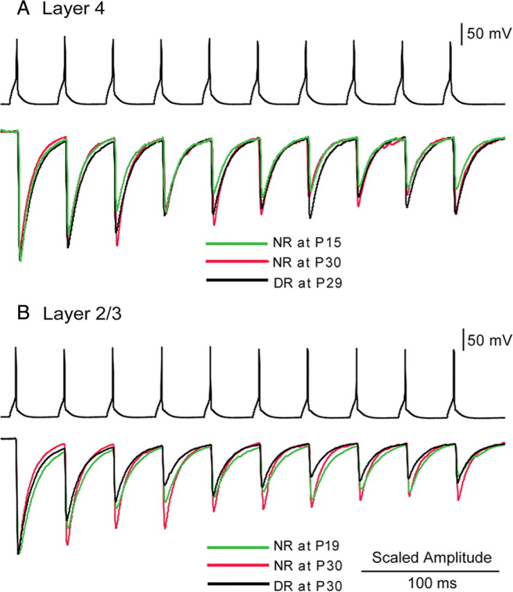 Figure 6.