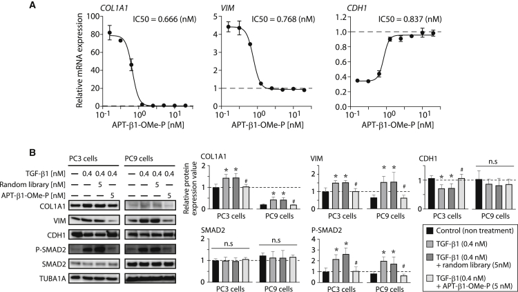 Figure 3