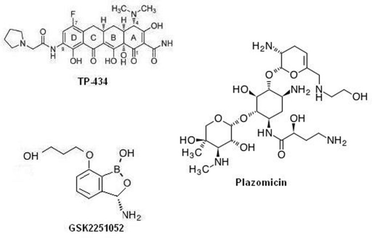 FIGURE 1