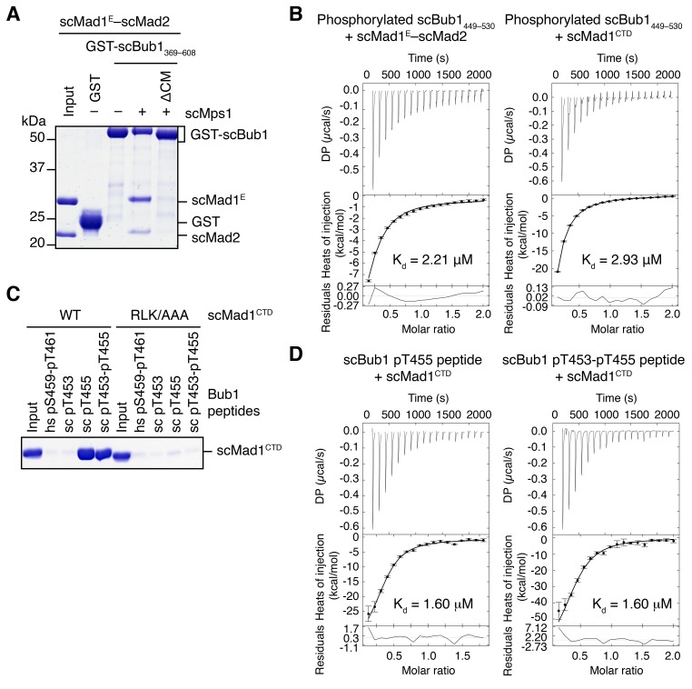 Figure 2—figure supplement 1.