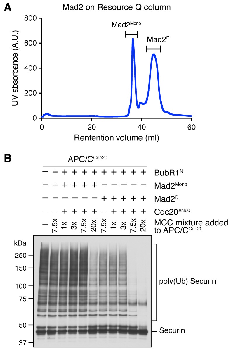 Figure 4—figure supplement 1.