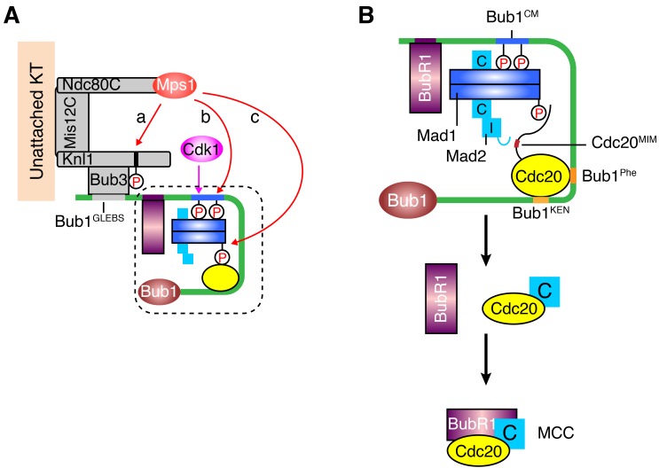 Figure 7.