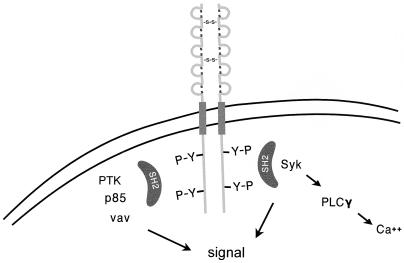 FIG. 9
