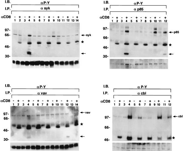 FIG. 7
