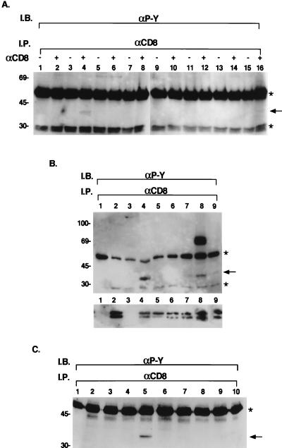 FIG. 8