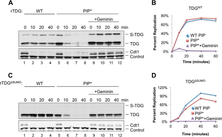 FIGURE 10.