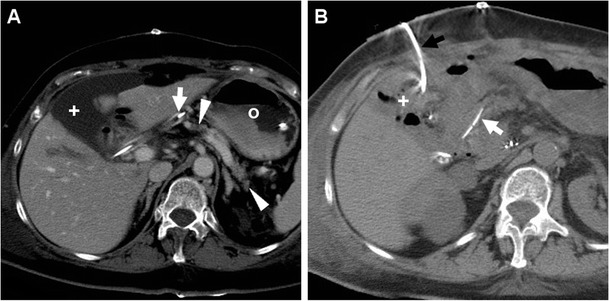 Fig. 8