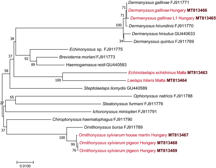 Fig. 4