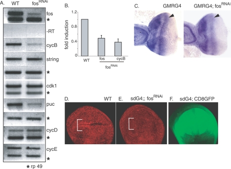 FIG. 7.