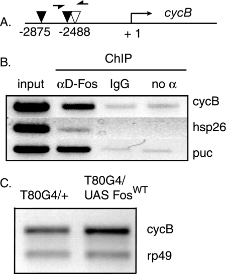 FIG. 8.