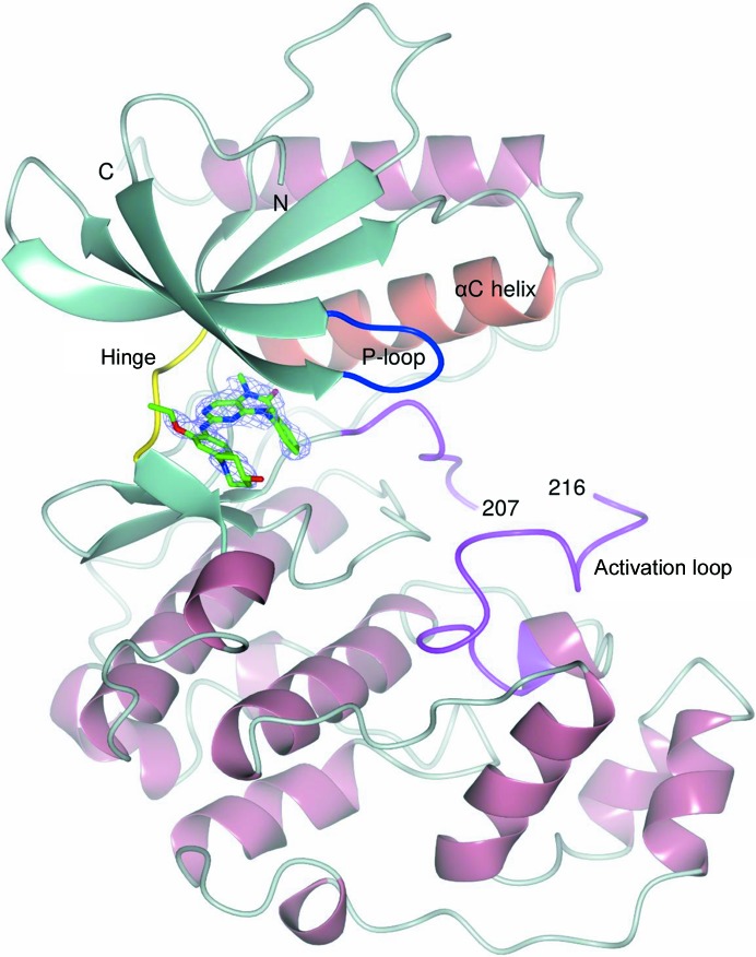 Figure 2