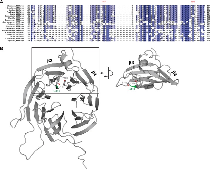 FIGURE 4.