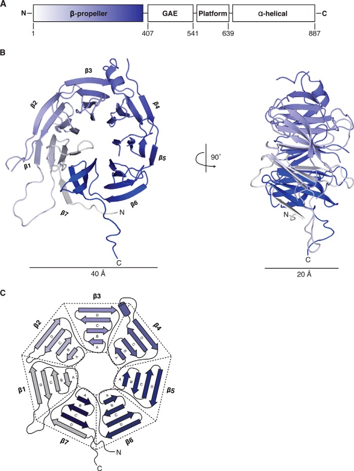 FIGURE 1.