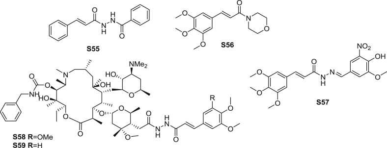 Fig. 12