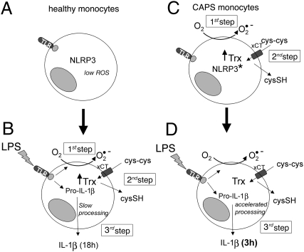 Fig. 7.