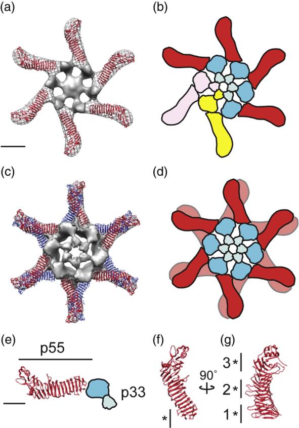 Fig. 4