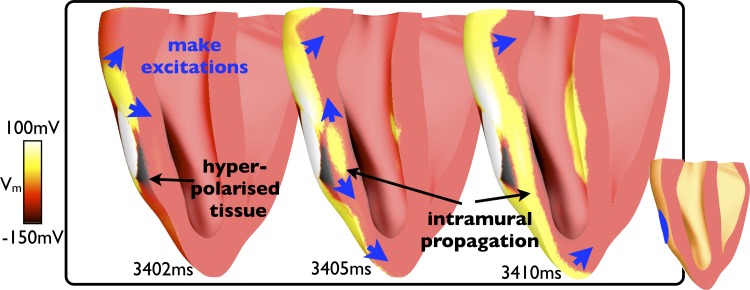 Fig. 3.