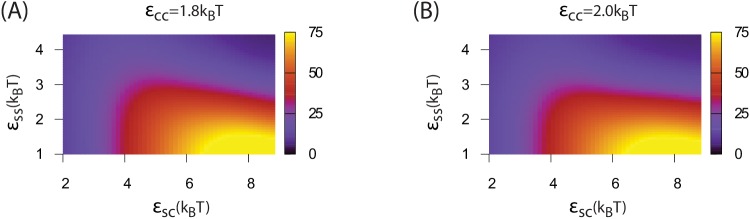 Figure 4—figure supplement 1.