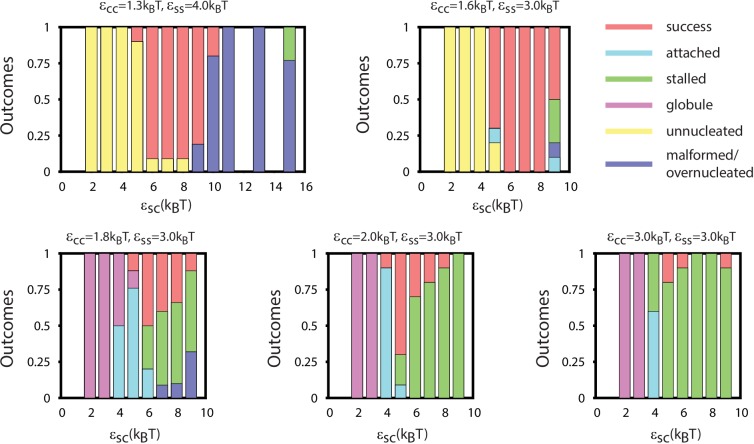 Figure 3—figure supplement 1.