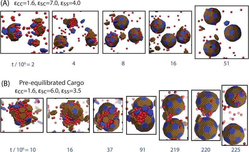 Figure 2—figure supplement 1.