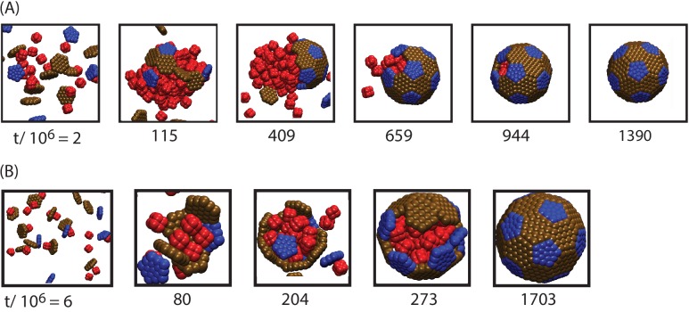 Figure 2—figure supplement 2.