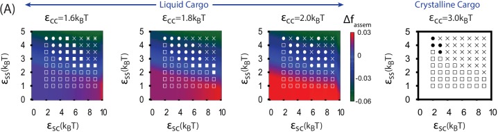 Figure 3—figure supplement 2.