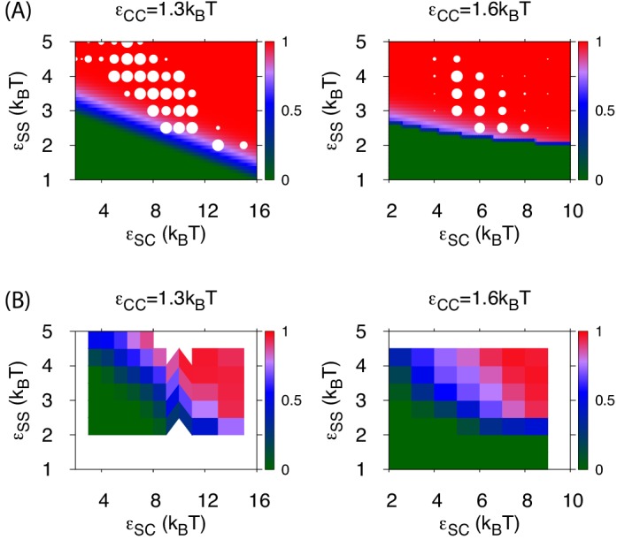 Figure 5—figure supplement 1.