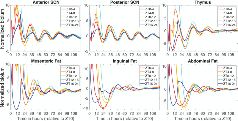 Figure 6.