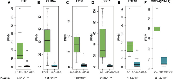 Figure 3