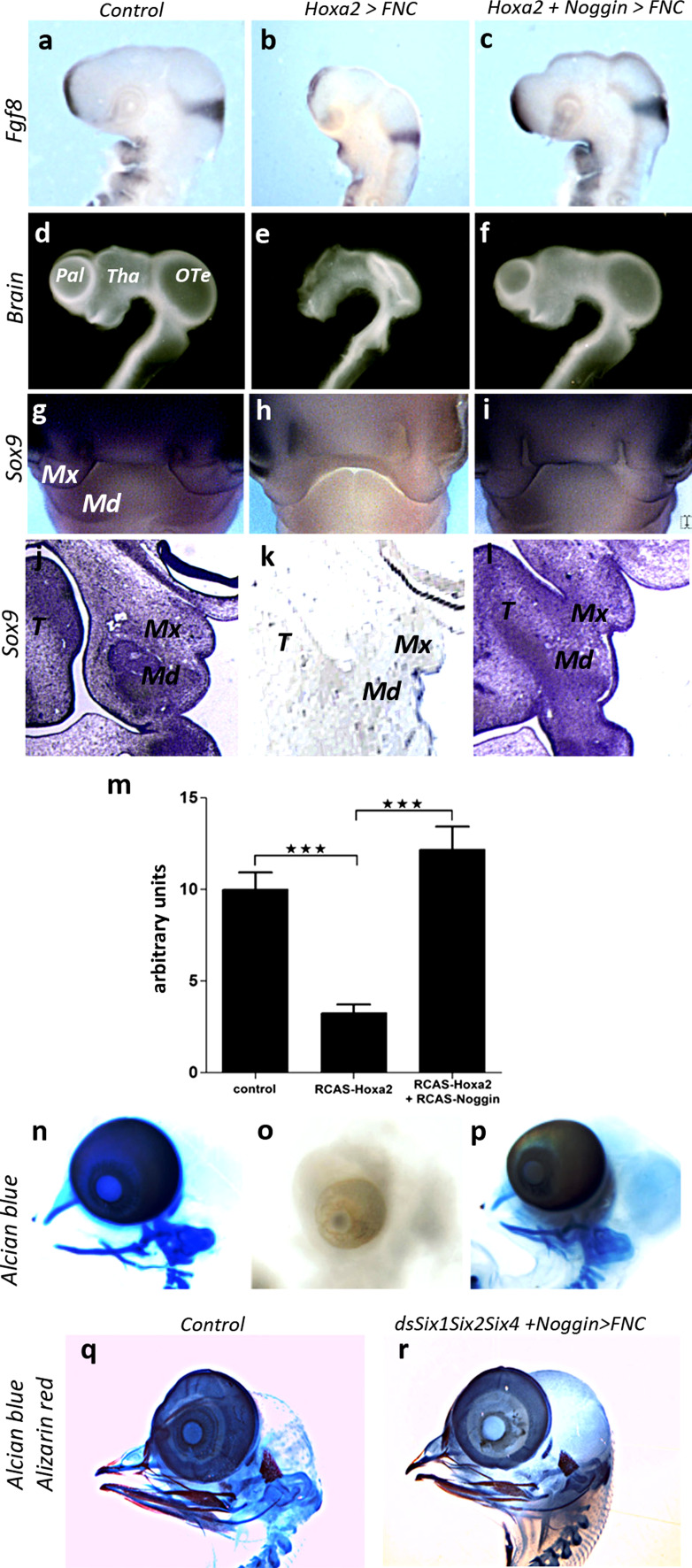 Fig. 7