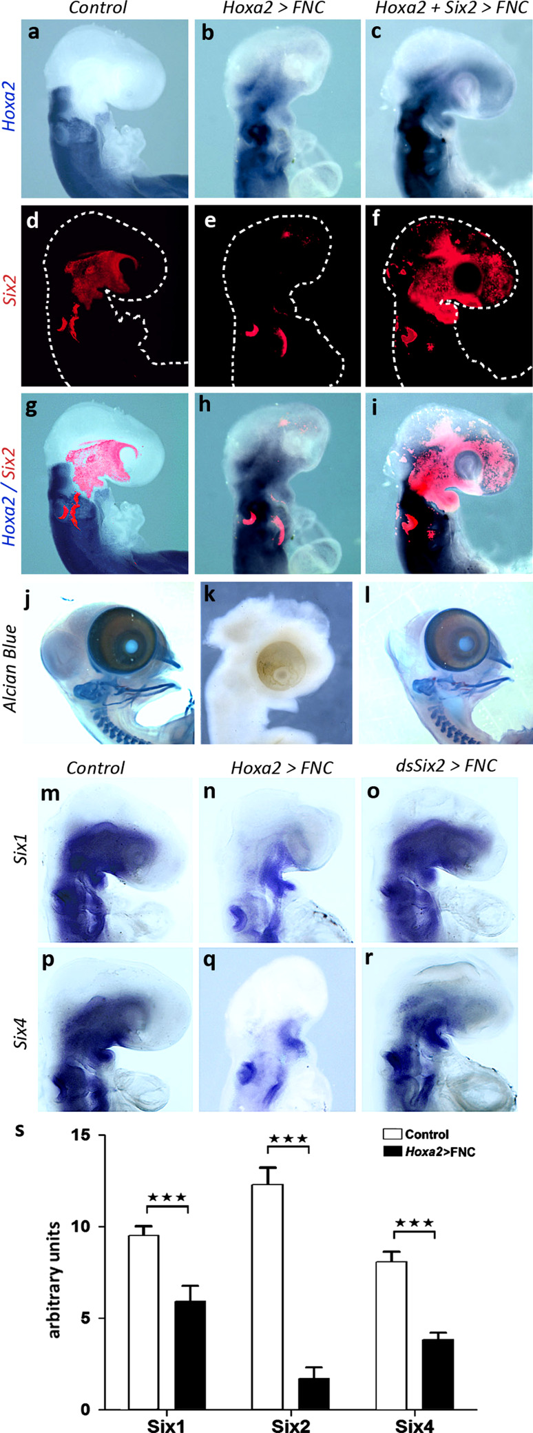 Fig. 3